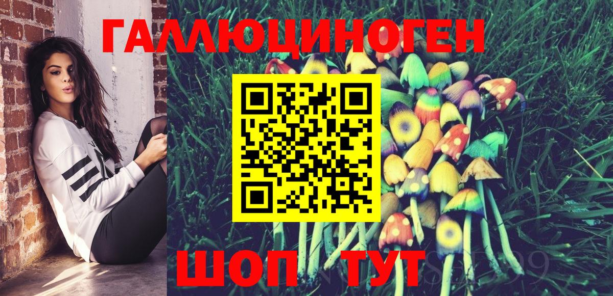 что такое наркотик  Вход с VPN  Анжеро-Судженск  Псилоцибиновые грибы GOLDEN TEACHER 