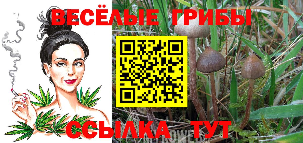 Галлюциногенные грибы MAGIC MUSHROOMS Анжеро-Судженск